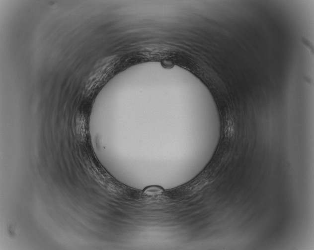X0000103441108200809261748
