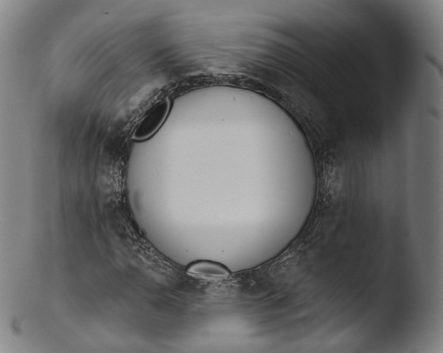 X0000103441110200809261748