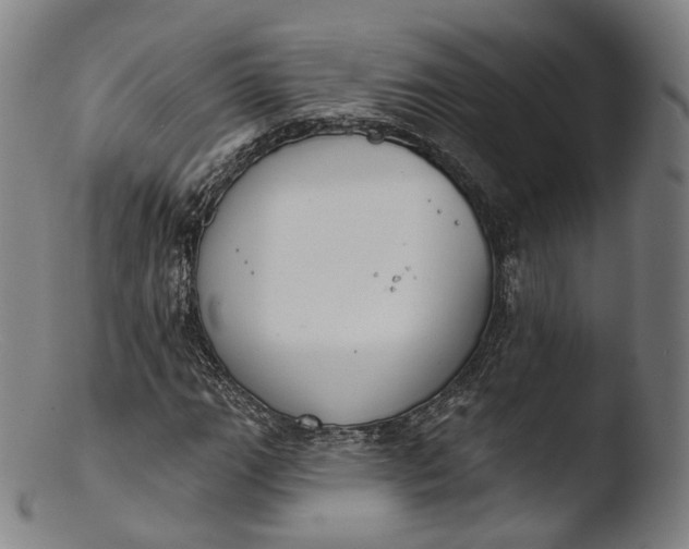 X0000103441111200809261748
