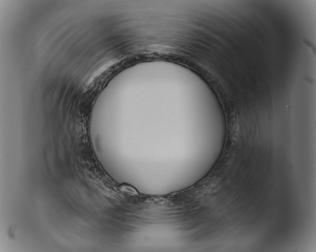 X0000103441112200809261748