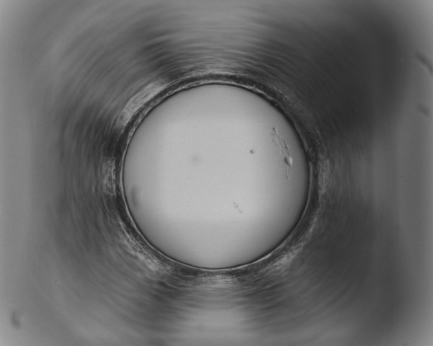 X0000103441113200809261748