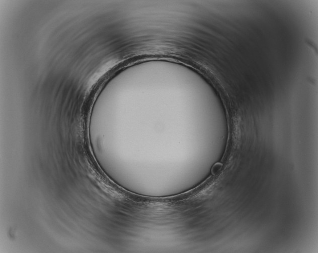 X0000103441114200809261748