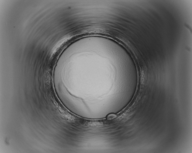 X0000103441115200809261748