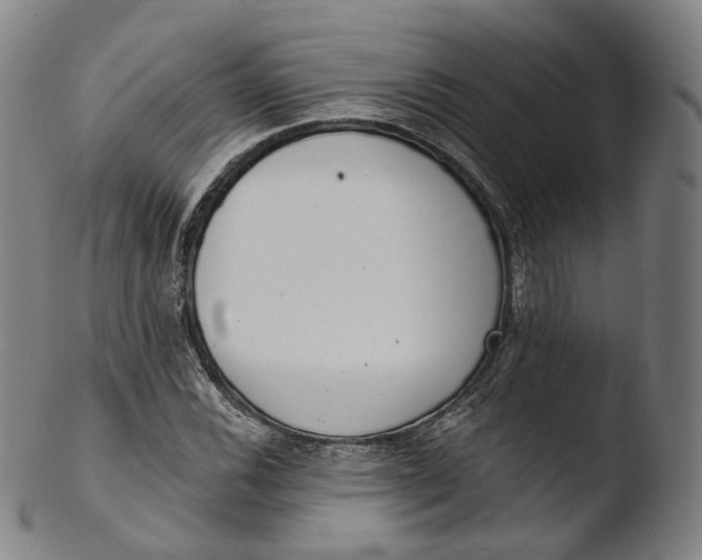 X0000103441116200809261748