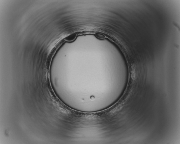 X0000103441117200809261748
