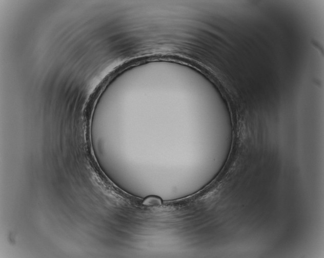 X0000103441118200809261748