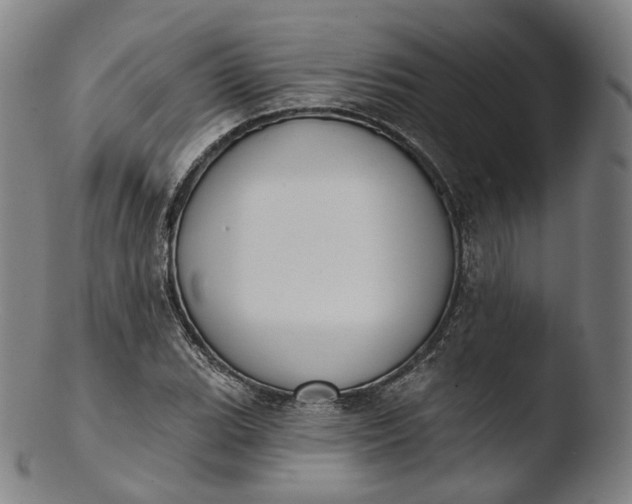X0000103441119200809261748