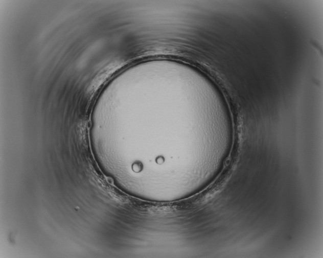 X0000103441121200809261748