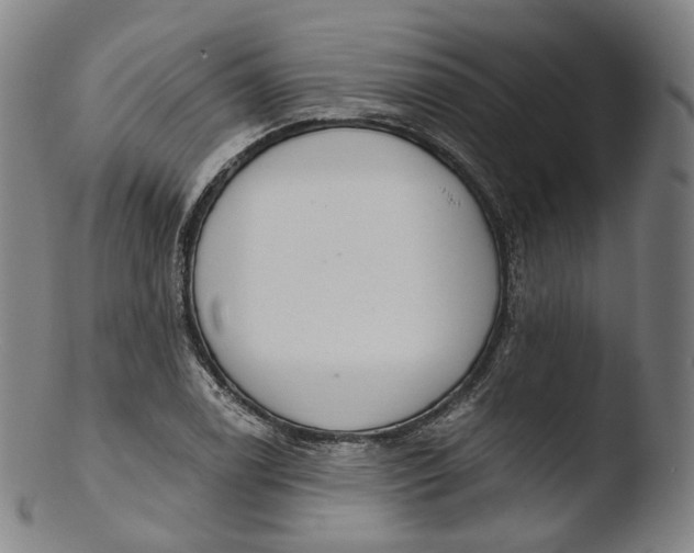X0000103441122200809261748