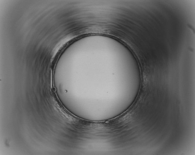 X0000103441123200809261748