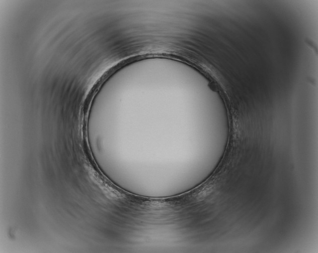 X0000103441124200809261748