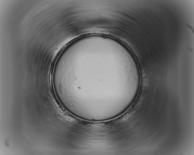 X0000103441125200809261748