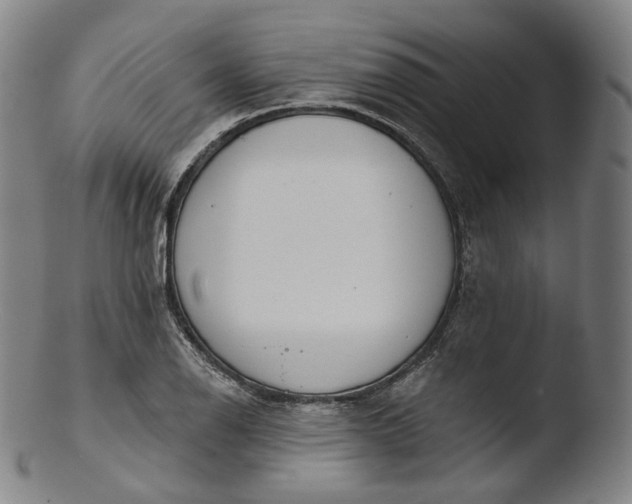 X0000103441126200809261748