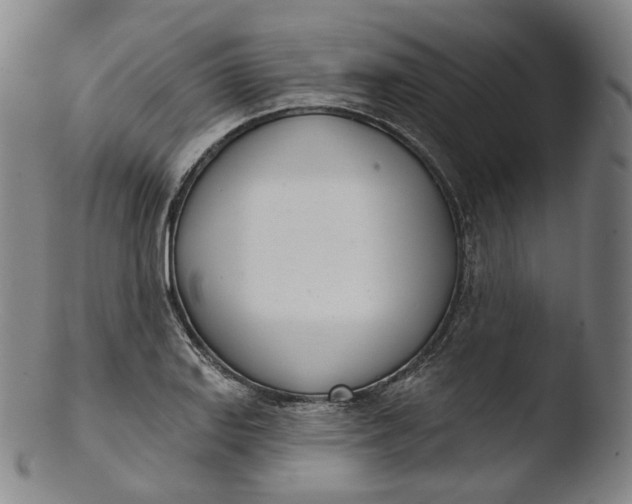 X0000103441127200809261748