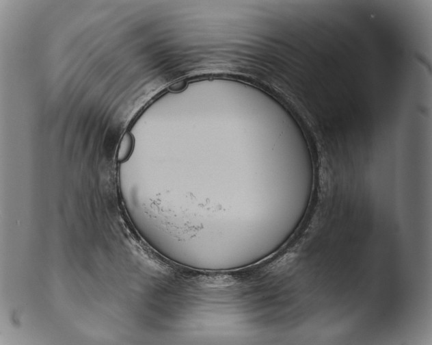 X0000103441129200809261748