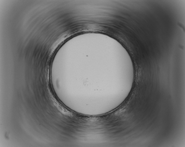 X0000103441130200809261748