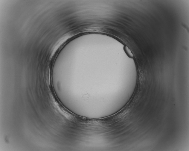 X0000103441131200809261748