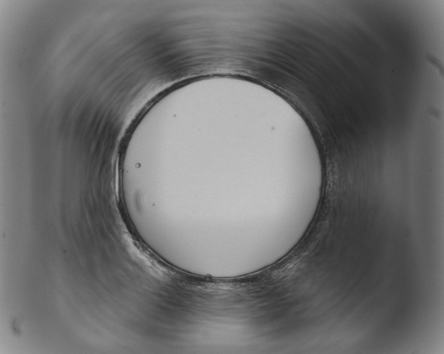 X0000103441132200809261748