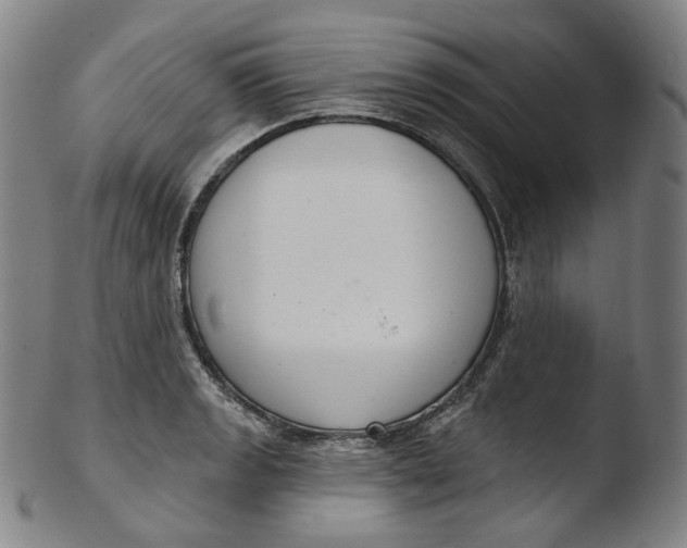 X0000103441133200809261748