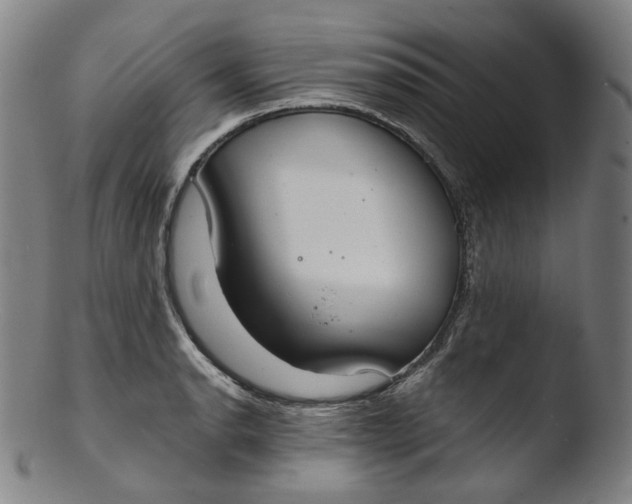 X0000103441134200809261748