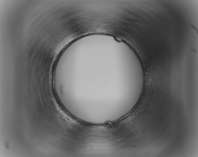 X0000103441135200809261748