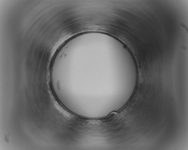 X0000103441136200809261748