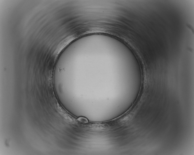 X0000103441137200809261748