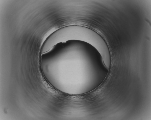 X0000103441138200809261748