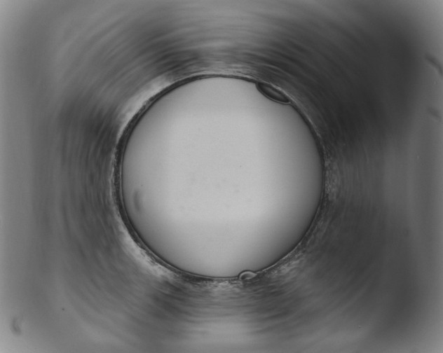 X0000103441139200809261748