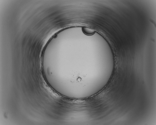 X0000103441140200809261748