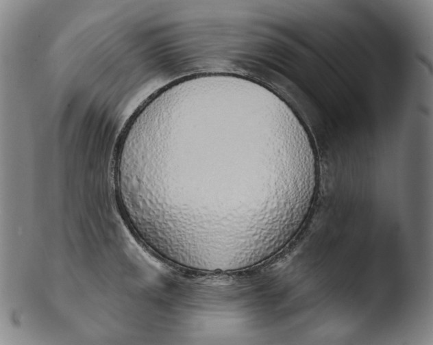 X0000103441141200809261748