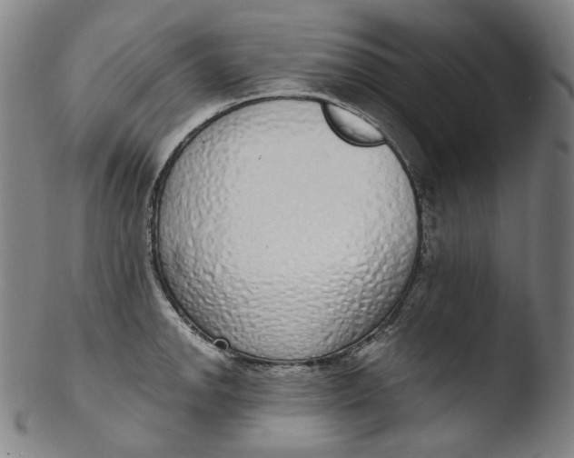 X0000103441142200809261748
