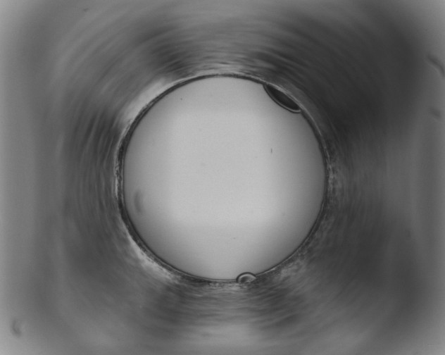 X0000103441143200809261748