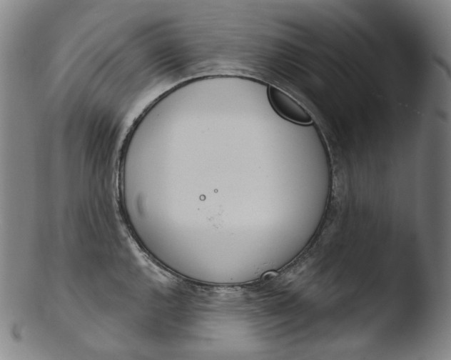 X0000103441144200809261748