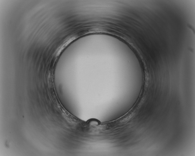 X0000103441145200809261748