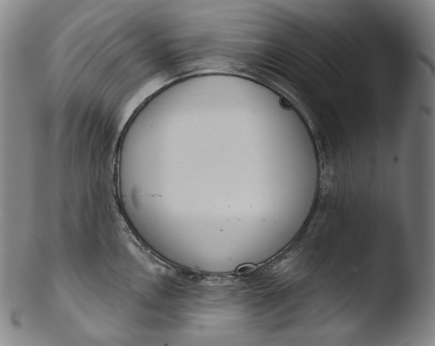X0000103441146200809261748