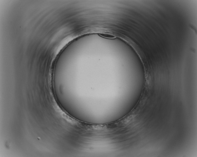 X0000103441147200809261748