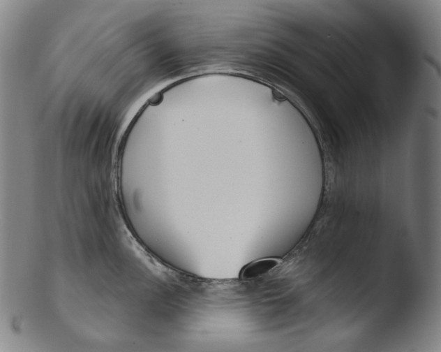 X0000103441148200809261748
