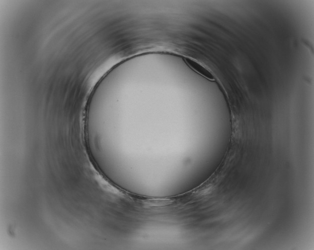 X0000103441151200809261748