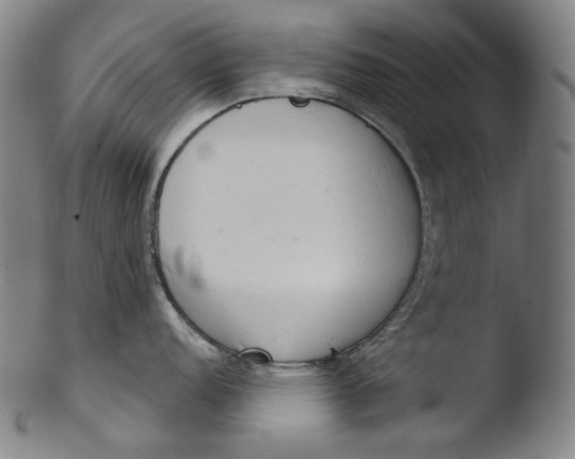 X0000103441152200809261748