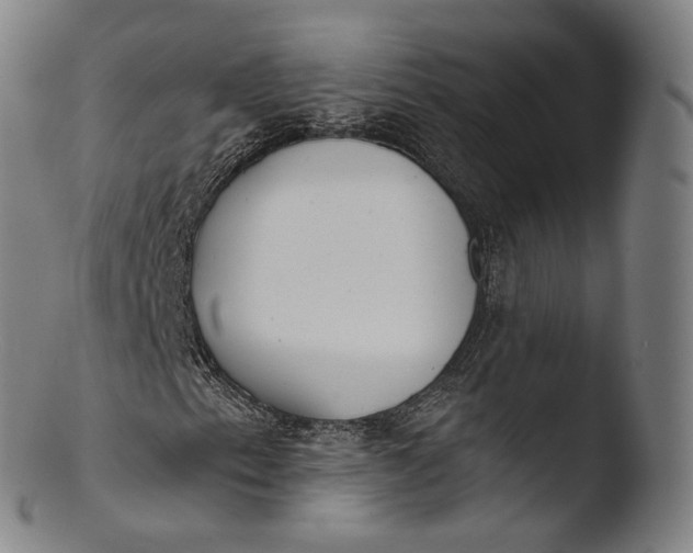 X0000103441153200809261748