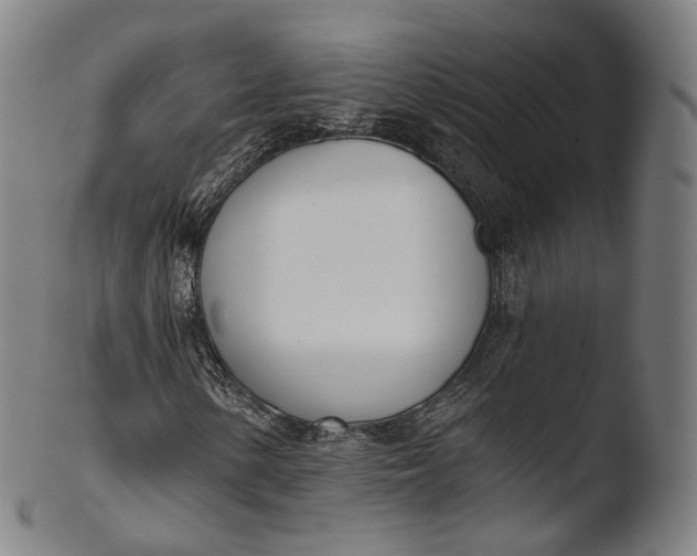 X0000103441154200809261748