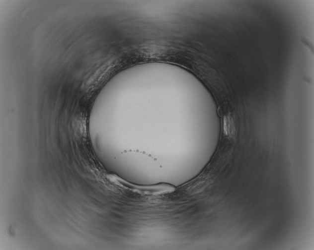 X0000103441155200809261748