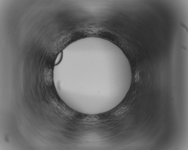 X0000103441156200809261748