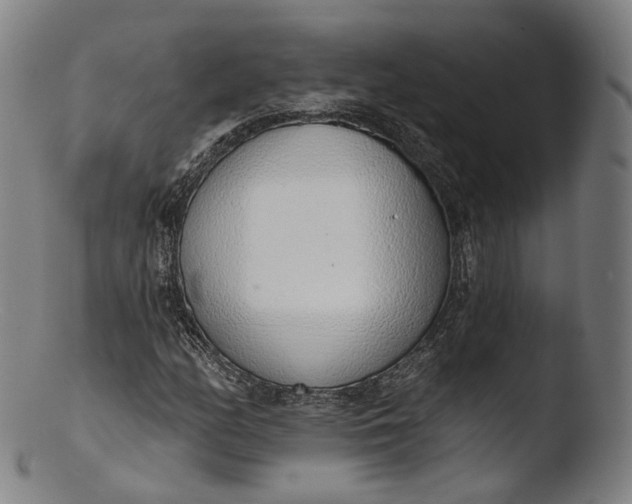 X0000103441158200809261748