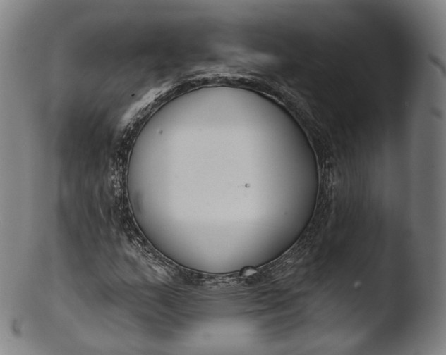 X0000103441159200809261747