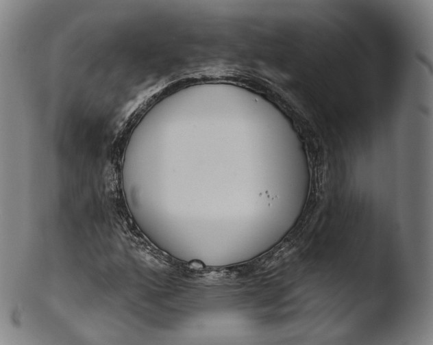 X0000103441160200809261747
