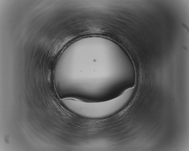 X0000103441161200809261747