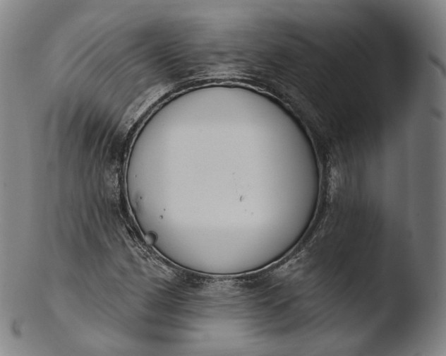 X0000103441162200809261747