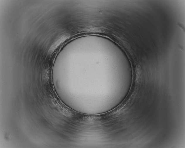X0000103441163200809261747